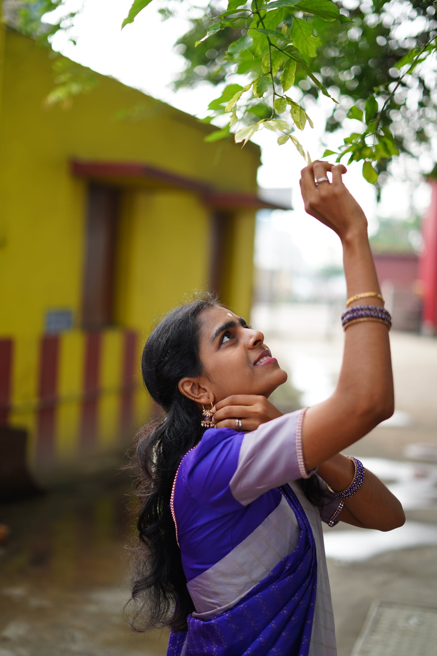 Royal Purple Arani Soft Silk Saree with Subtle Gold Weaves